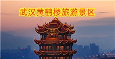 操中国女人BB视频