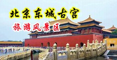 中年女人搞B黄色视频中国北京-东城古宫旅游风景区